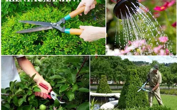 Tiêu Chuẩn Kỹ Thuật Bảo Dưỡng Cảnh Quan Công Ty TMC