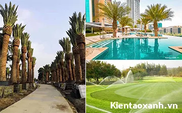 Top 10 cây sang trọng phù hợp trồng Trung tâm thương mại, khách sạn