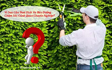 Vì Sao Cần Thuê Dịch Vụ Bảo Dưỡng Chăm Sóc Cảnh Quan Chuyên Nghiệp