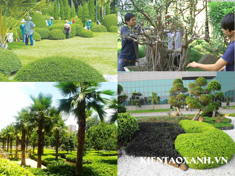 BẢO DƯỠNG BỒN HOA