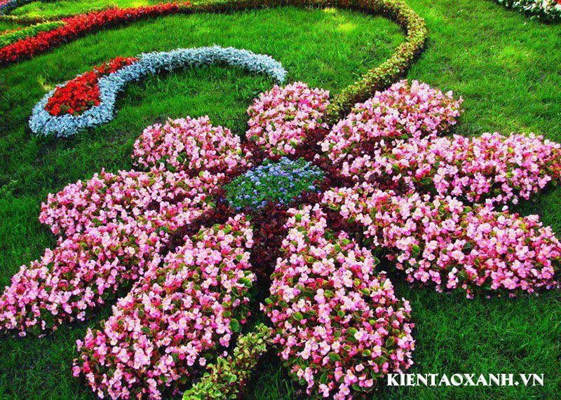 BẢO DƯỠNG BỒN HOA