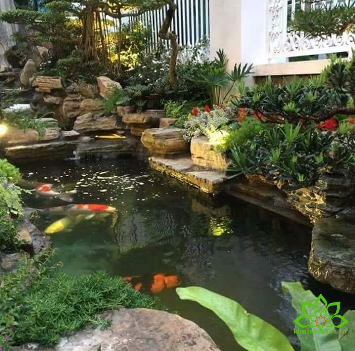 a. Bảo trì, bảo dưỡng hồ nước.