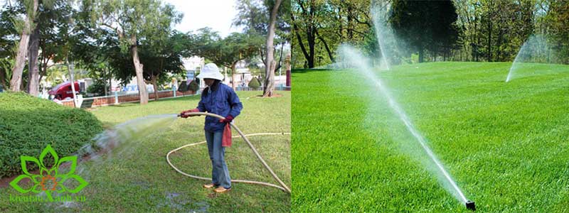 2. Bảo trì, bảo dưỡng các thiết bị hỗ trợ trong sân vườn.