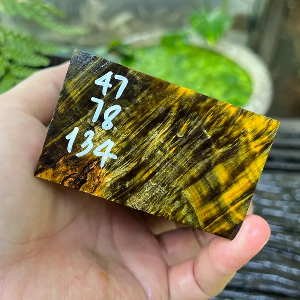 Gỗ Ổn Định - B19