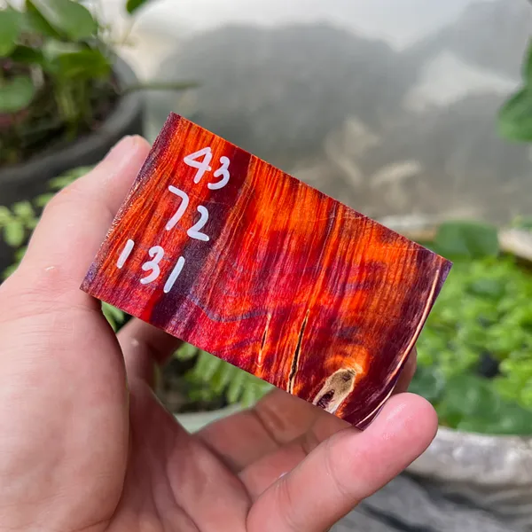 Gỗ Ổn Định - B9