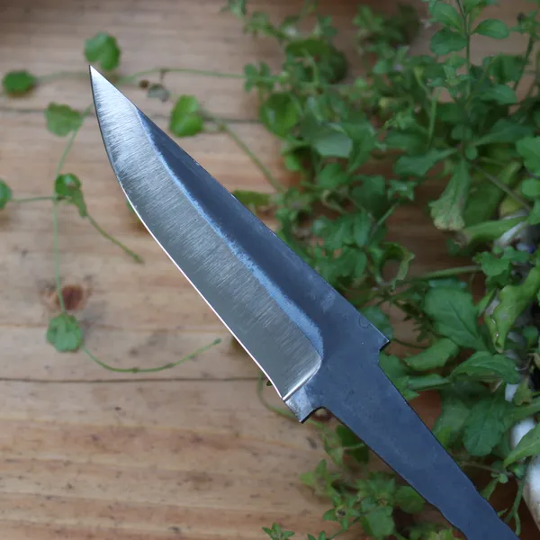 Lưỡi Dao Lauri Whittler LPT 80mm 