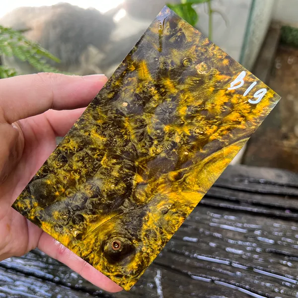Gỗ Ổn Định - B19