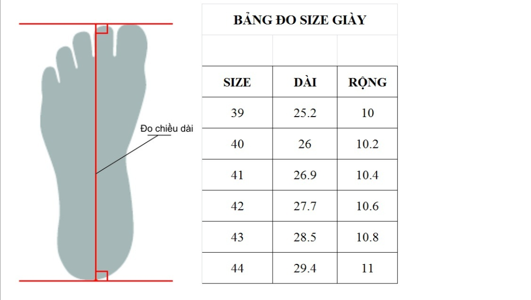 Cách quy đổi size quốc tế về giày bảo hộ lao động nhập khẩu