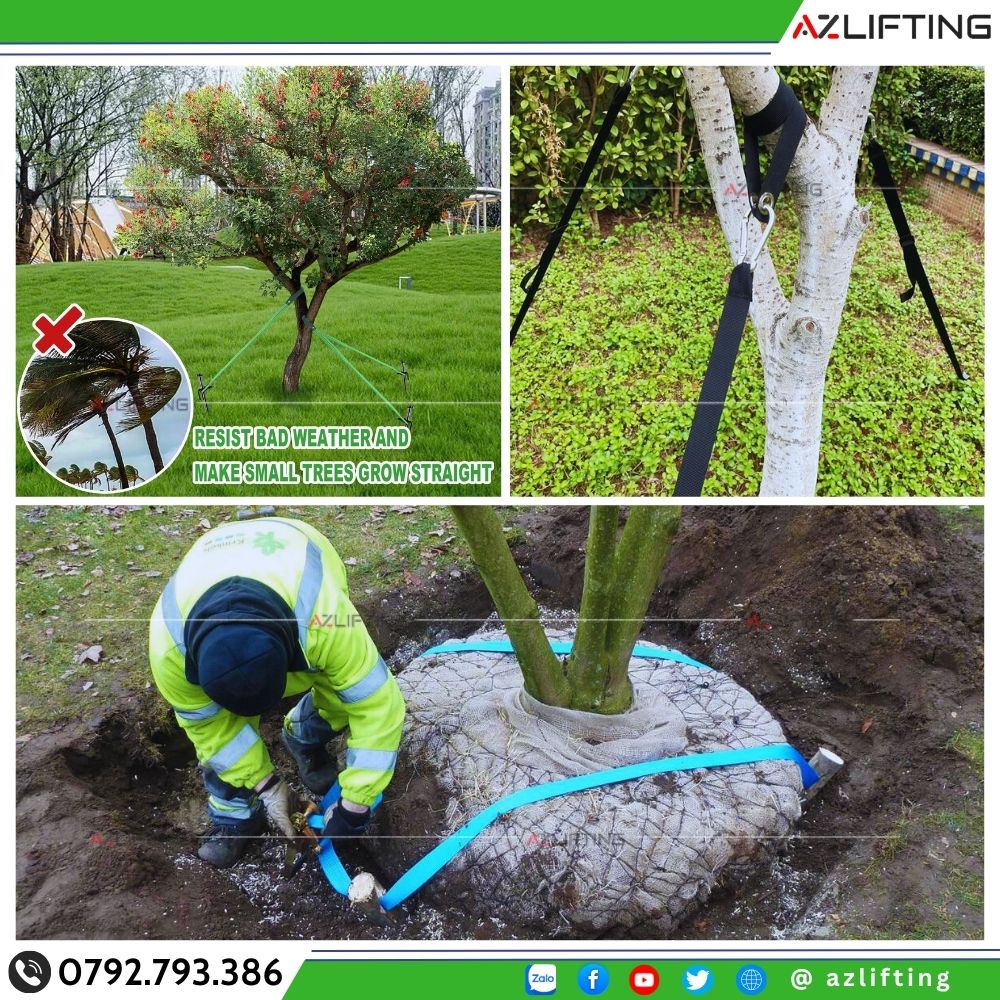 Ứng dụng dây chằng hàng cố định cây trồng, vật dụng ngoài trời. Ứng dụng dây chằng hàng cố định cây trồng, vật dụng ngoài trời.