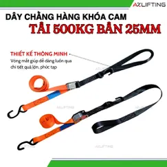 Dây Chằng Hàng Khóa Cam Bản 25mm Tải 500kg Móc S & Vòng mắt - Đầu Khóa Thép