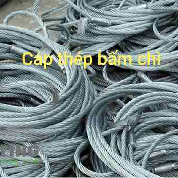 Sling cáp thép bấm chì – Wire Rope