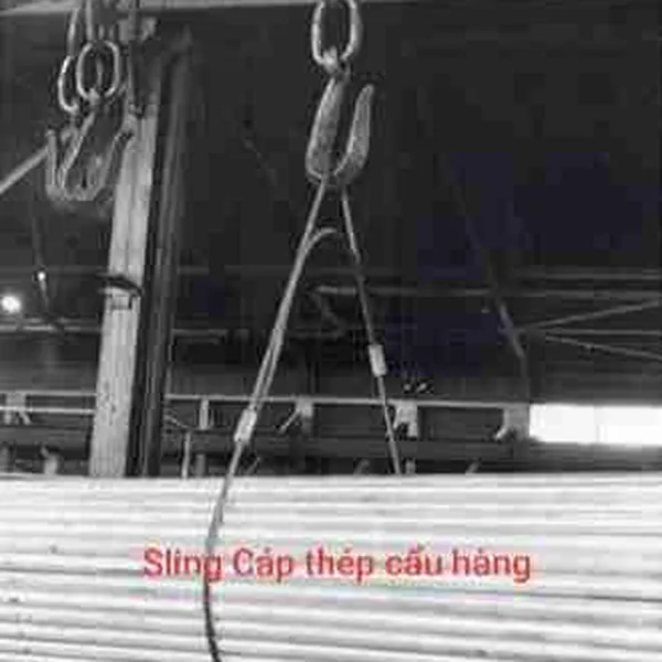 Sling cáp thép bấm chì – Wire Rope