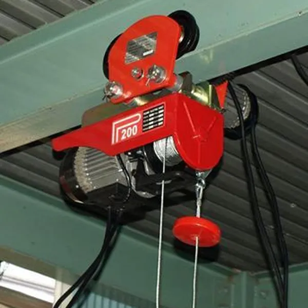 Con Chạy Tời Điện Mini (Rùa Tời Điện) 500kg - 1 Tấn