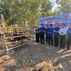 Đoàn Đặc khu Phú Quốc bàn giao mô hình hỗ trợ thanh niên phát triển kinh tế năm 2026