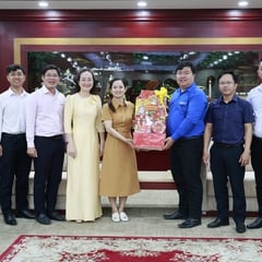 Tuổi trẻ An Giang và Tuổi trẻ Thành phố Hồ Chí Minh kết nối sức trẻ
