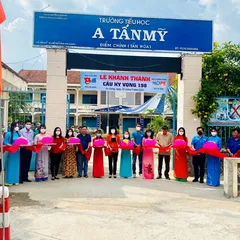 An Giang: Khánh thành cầu Hy vọng 198 - Cầu trường Tiểu học “A” Tấn Mỹ