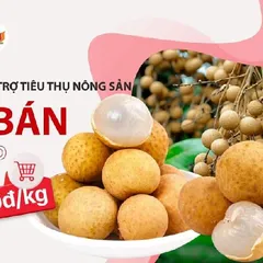 THANH NIÊN AN GIANG CHUNG TAY HỖ TRỢ TIÊU THỤ NÔNG SẢN