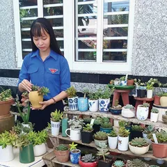 Thu nhập ổn định từ trồng sen đá
