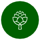NGUỒN NGUYÊN LIỆU NGUỒN NGUYÊN LIỆU