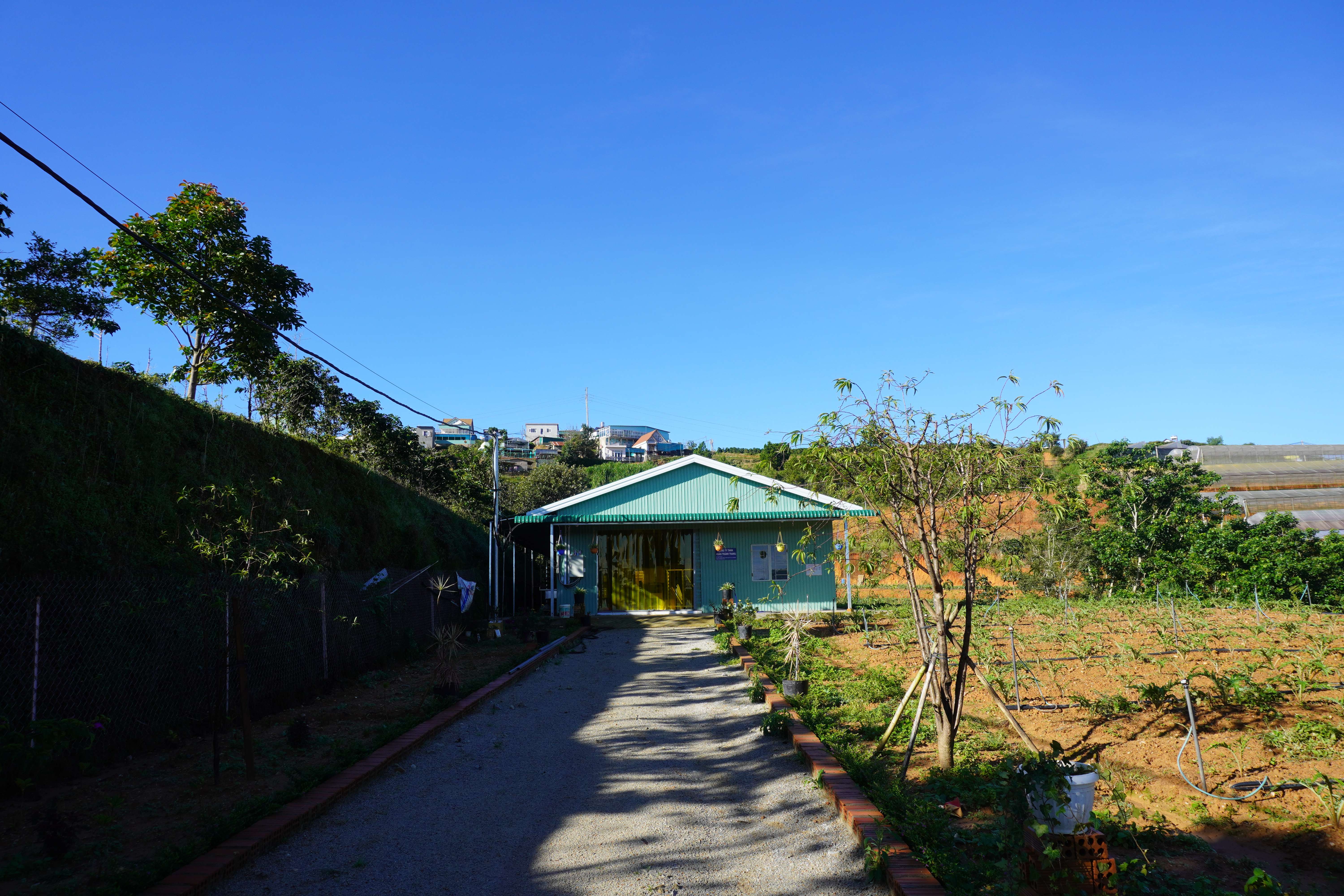 Nhà máy chế biến actiso Nhà máy chế biến actiso