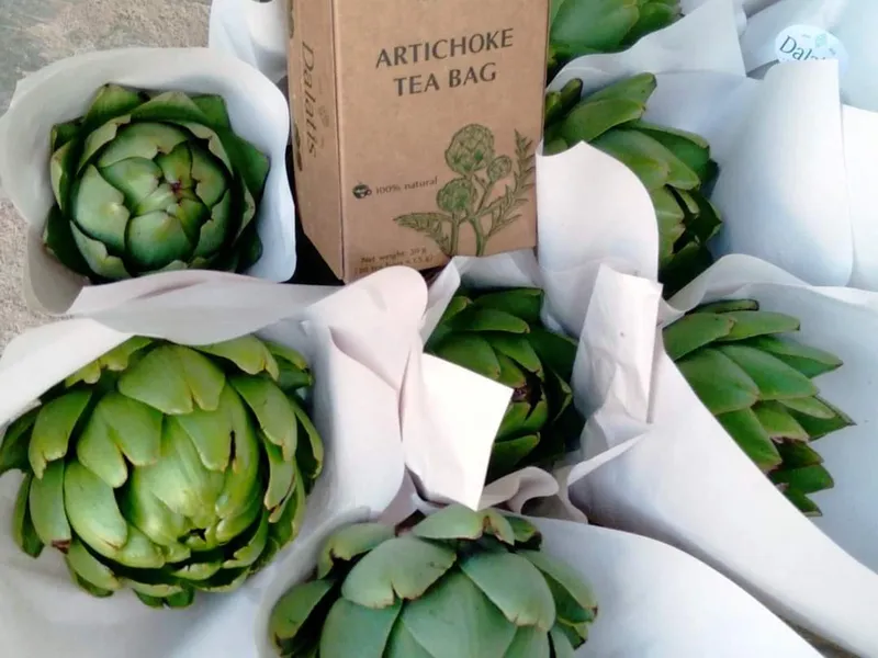 Trà Actisô túi lọc