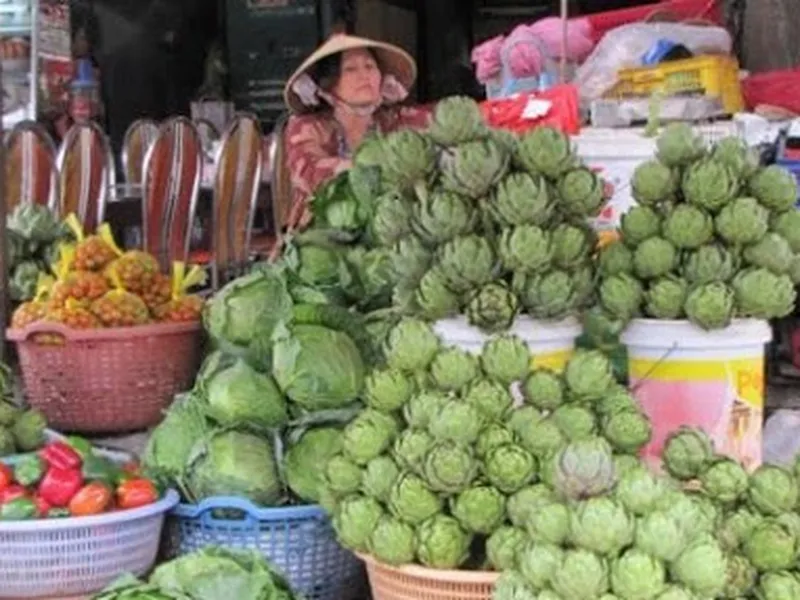 Hoa actiso bán ở đâu tphcm là đảm bảo xanh -sạch?