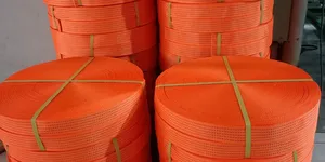 Nơi Bán Dây Đai Vải chằng hàng lashing bản 50mm giá rẻ Dây Polyester