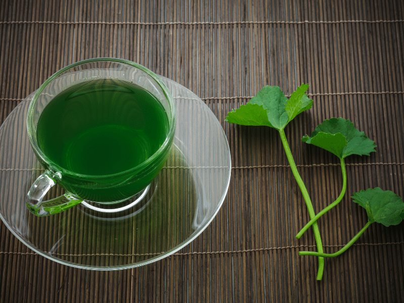 Bột rau má tăng cường trí óc, thanh mát cơ thể Bột rau má tăng cường trí óc, thanh mát cơ thể