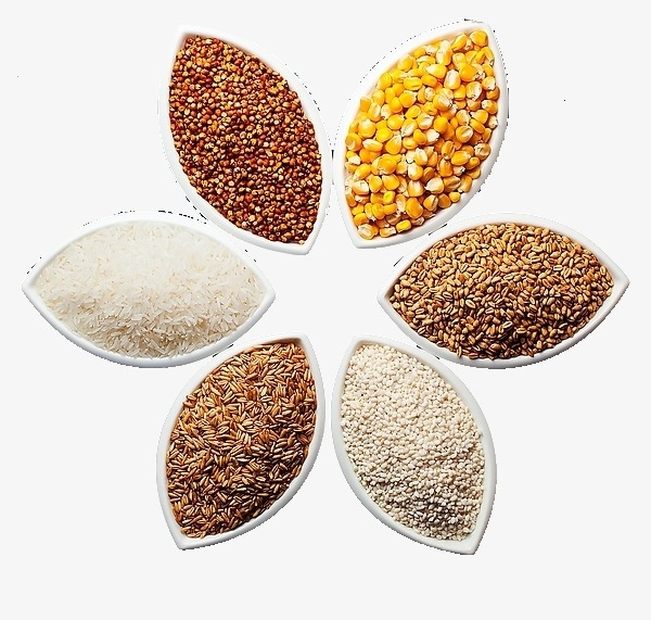 Các loại hạt chứa lượng lớn chất dinh dưỡng Các loại hạt chứa lượng lớn chất dinh dưỡng