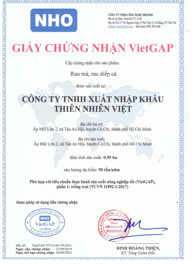 Bột Chùm Ngây - Gói 100gr - Quảng Thanh