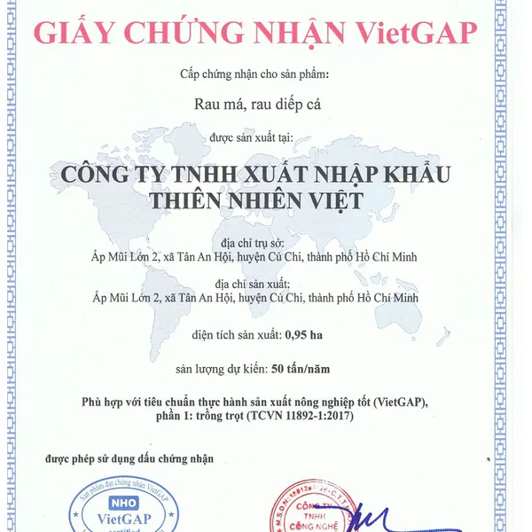 Bột Trà Xanh - Hộp gói nhỏ