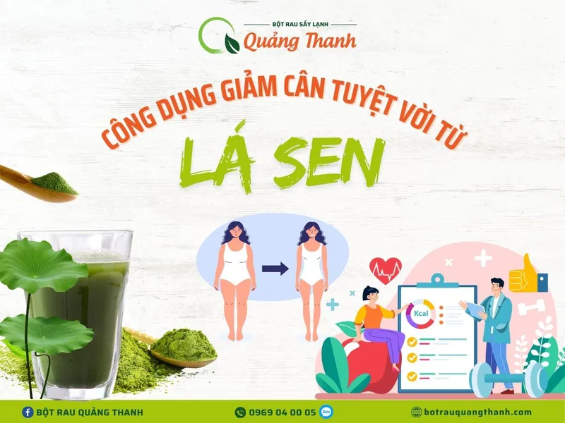 Tác Dụng Của Lá Sen Trong Việc Hỗ Trợ Giảm Cân An Toàn
