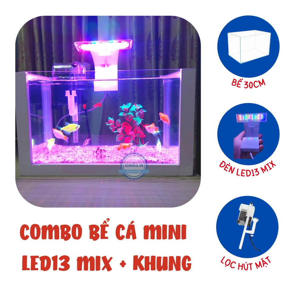 Hồ cá mini để bàn FULL COMBO LED13 MIX đầy đủ hồ lọc đèn + KHUNG   