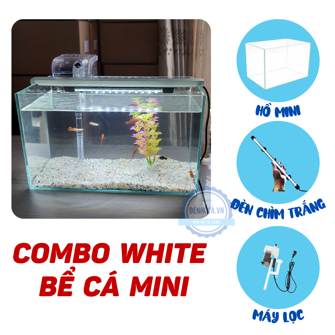 Bể cá mini để bàn COMBO WHITE giá rẻ đầy đủ phụ kiện