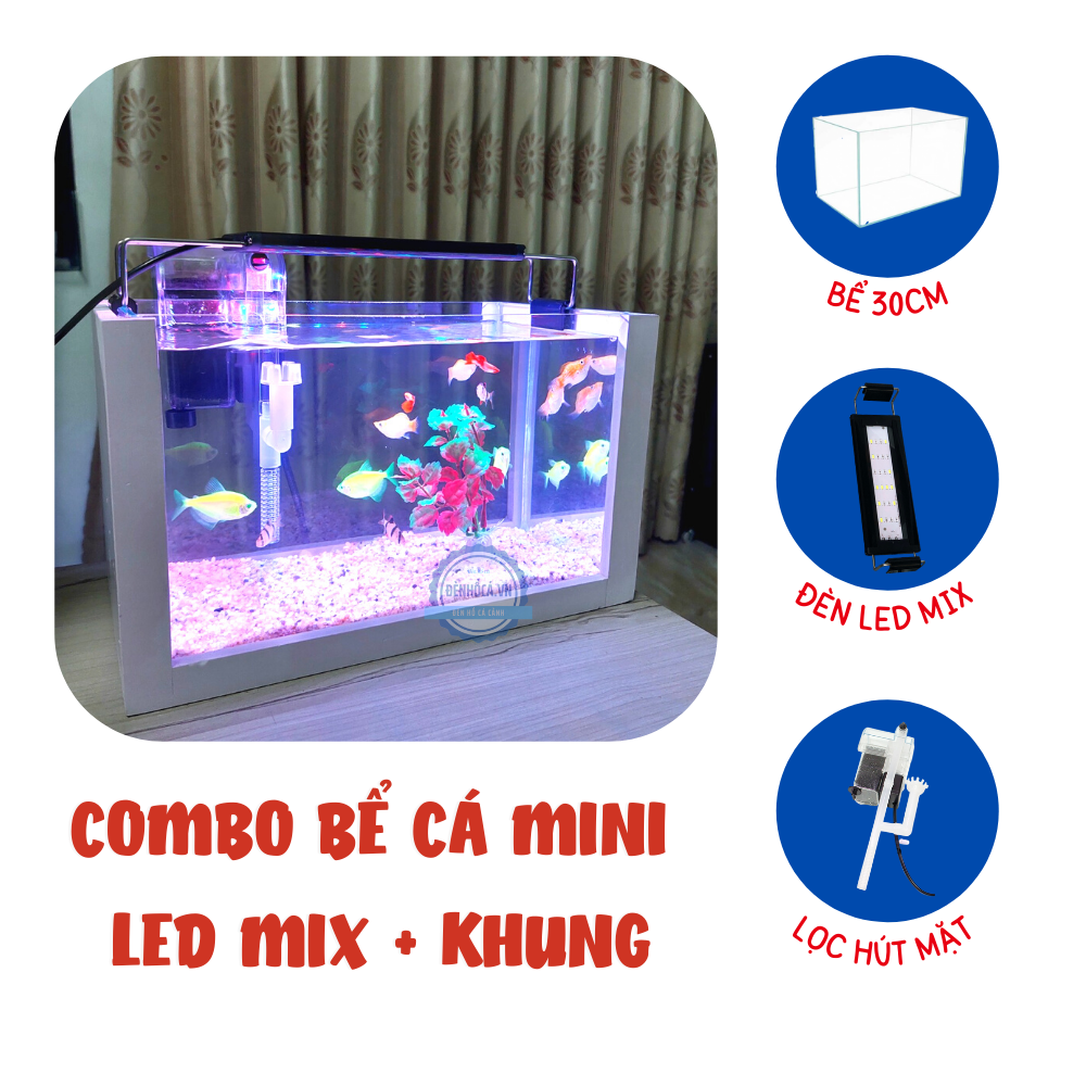 Hồ cá mini để bàn FULL COMBO MIX phụ kiện + KHUNG