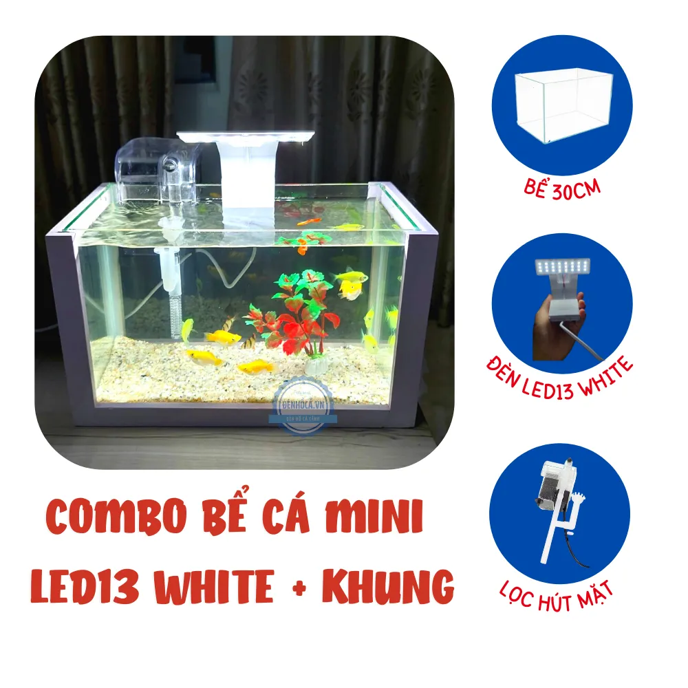 Hồ cá mini để bàn FULL COMBO LED13 WHITE đầy đủ hồ lọc đèn + KHUNG