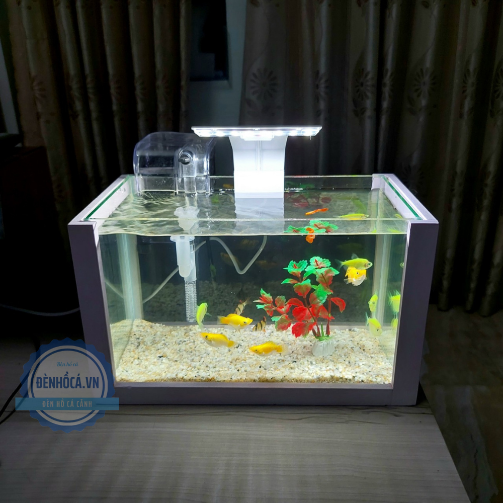 Hồ cá mini để bàn FULL COMBO LED13 WHITE đầy đủ hồ lọc đèn + KHUNG   