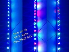 Mẫu đèn led thủy sinh 1m2 nào tốt nhất hiện nay?