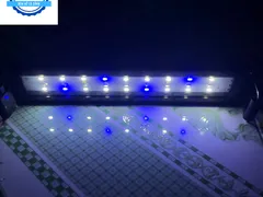 Sale mạnh dưới 100K sở hữu ngay những mẫu đèn chiếu sáng cho hồ thủy sinh