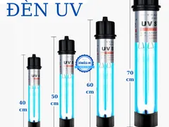 Địa chỉ bán đèn UV hồ cá uy tín tại TPHCM