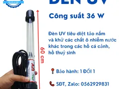 Đèn UV hồ cá loại nào tốt, giá rẻ?