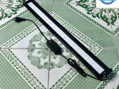 Mua đèn WRGB thủy sinh ở đâu ?