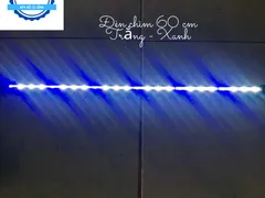 Những mẫu đèn led xanh cho bể cá đẹp lung linh
