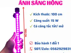 Mẫu đèn led hồng cho bể cá thêm xinh