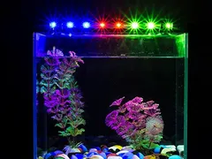 Đèn led hồ cá đổi màu mua ở đâu?