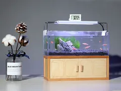 Bảo dưỡng đèn led hồ cá mini như thế nào?