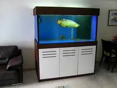 3 lưu ý quan trọng cần nhớ khi sử dụng đèn led hồ thủy sinh