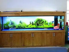 Hướng dẫn cách trang trí hồ cá bằng đèn led