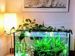 Thời gian sử dụng đèn led cho bể cá thủy sinh