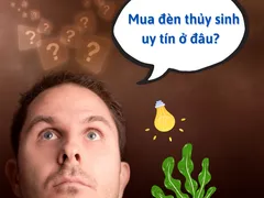 Địa điểm bán đèn thủy sinh uy tín